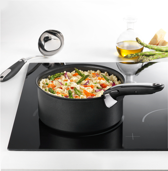Ingenio Expertise 20CM SAUCE PAN L6503002 Induction Compatible Made in  France Titanium Extra